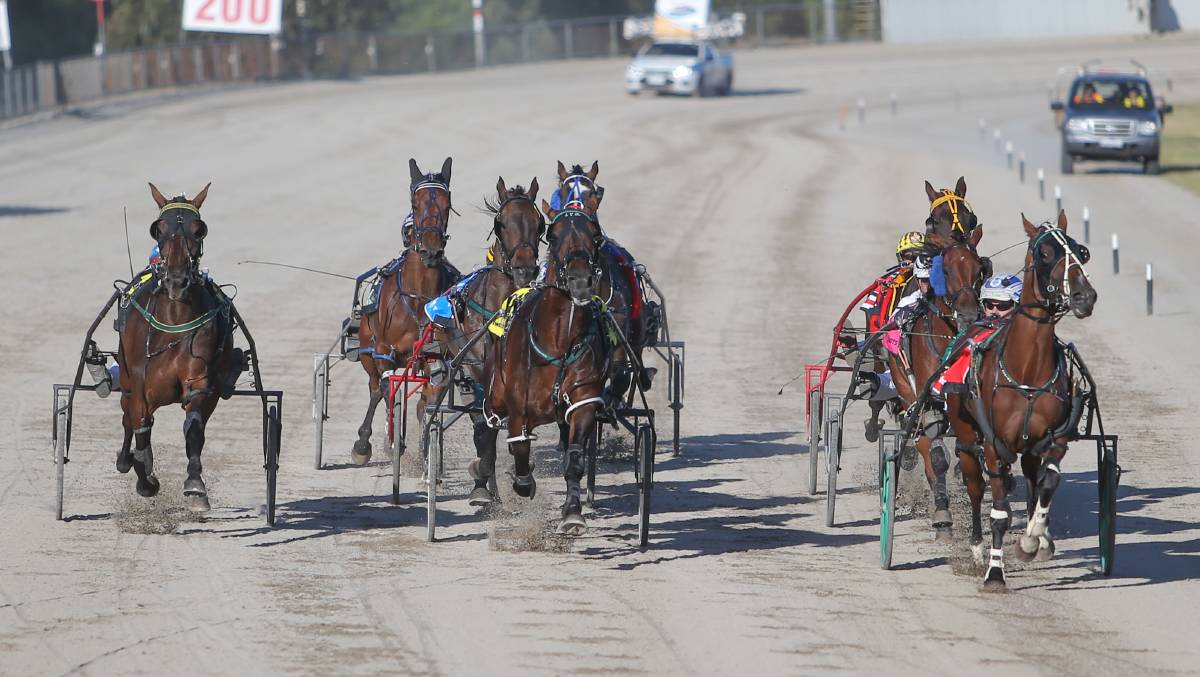 Horses completing