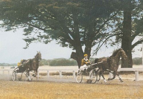 Horse Racing