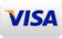 A close up of a visa logo on a white background.