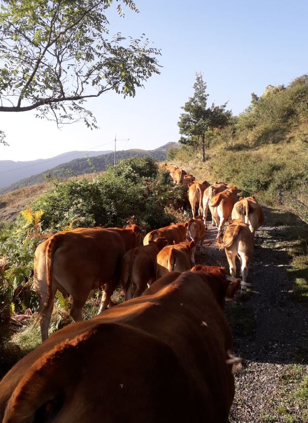 cooperativa di allevamenti biologici a Varese Ligure