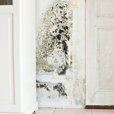 Damaged wallpaper