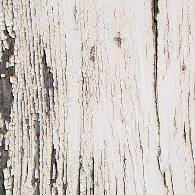 Dry and wet rot treatment