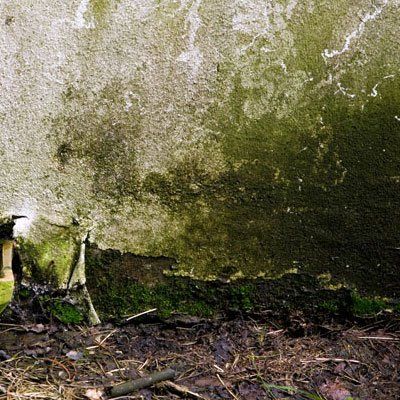 Waterproofing your property