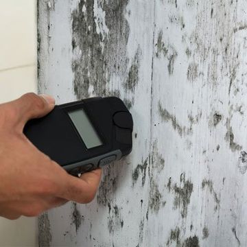Damp proofing specialists