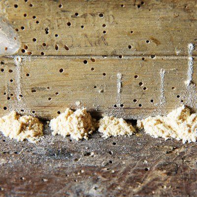 Small holes in wood