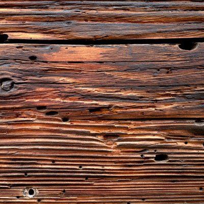 Save the wooden interiors of your property