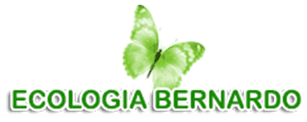 ECOLOGIA BERNARDO - LOGO