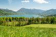 Die Weiden vom Buchberghof Tegernsee in Bayern mit Blick in die Natur