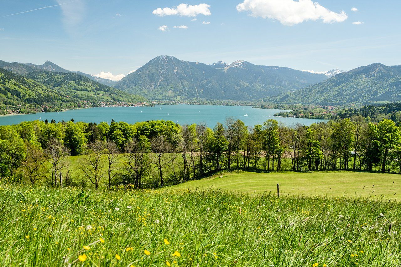 Die Weiden vom Buchberghof Tegernsee in Bayern mit Blick in die Natur