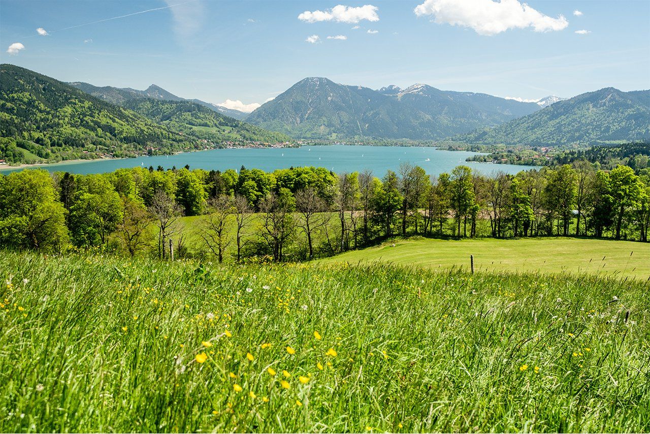 Blick auf den Tegernsee über die Weiden und Natur des Buchberghof Tegernsee in Bayern