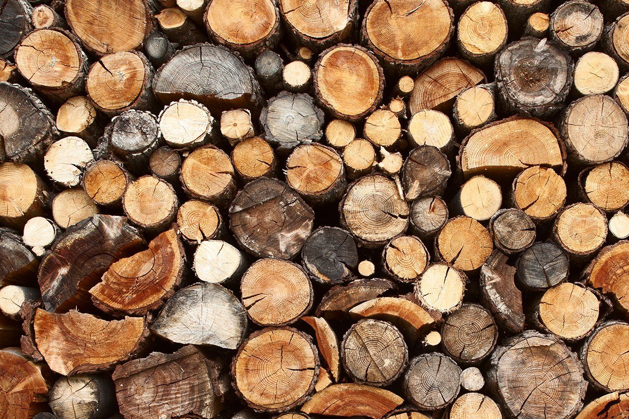 Brennholz vom Kaminholz vom Buchberghof Tegernsee in Bayern