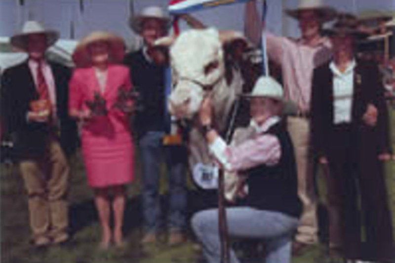 cow