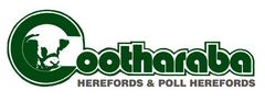 cootharaba