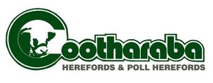 cootharaba