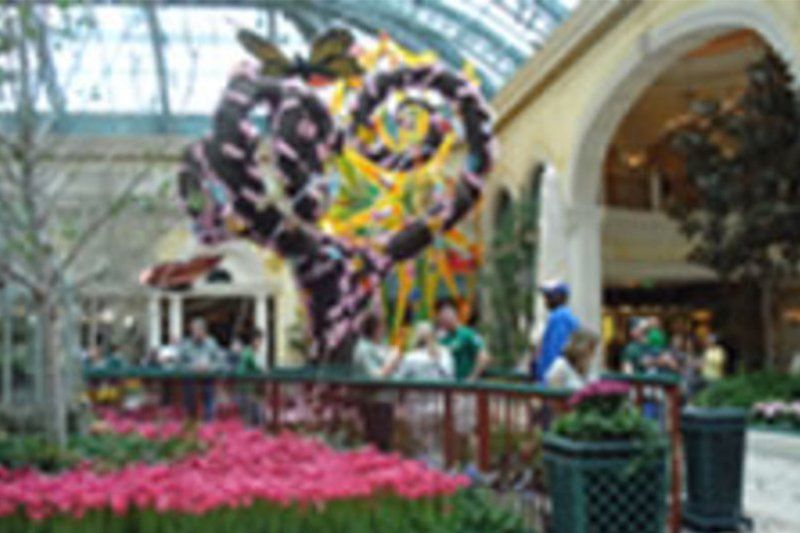 display