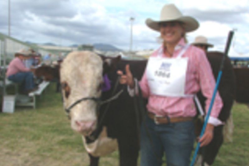 cow