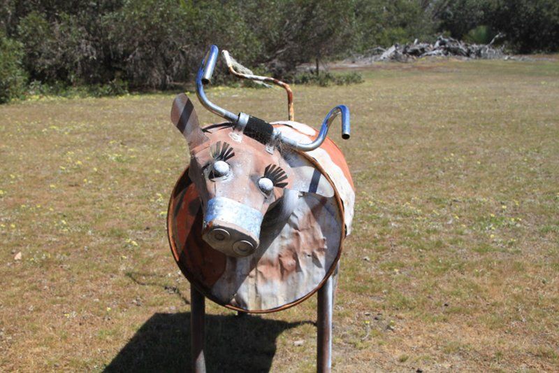 cows