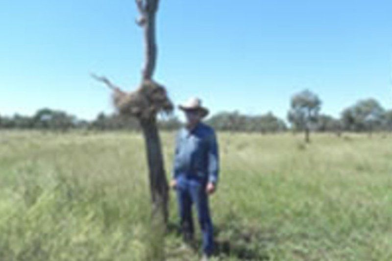 boy standing
