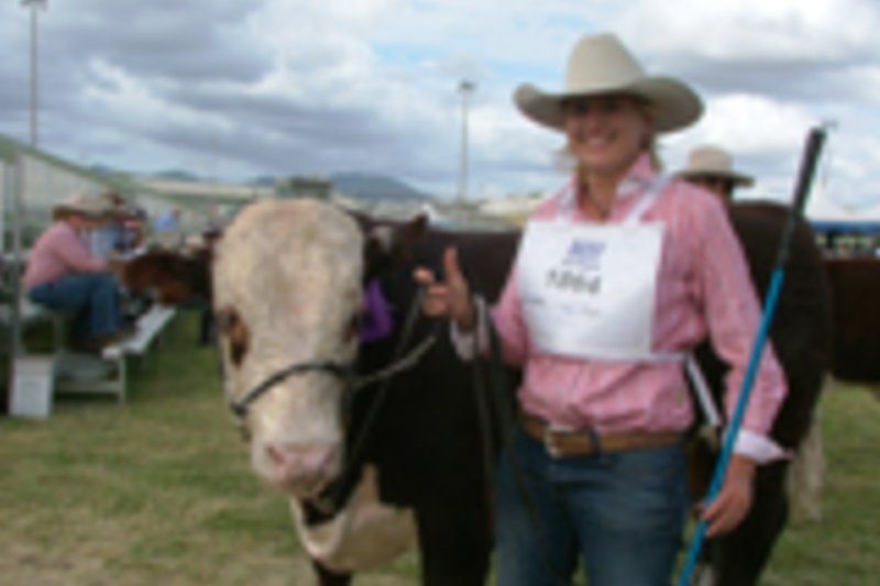 cow