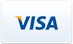 Visa icon