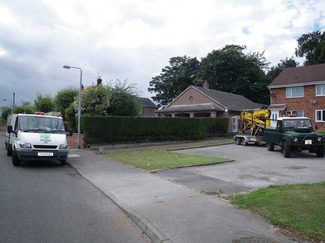 Small hedge - After