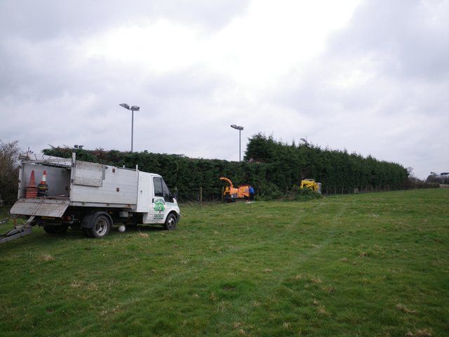 Large hedges