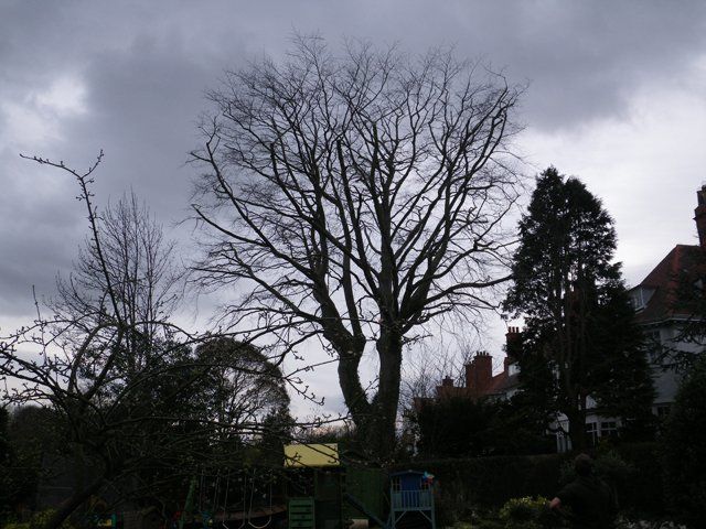 Crown reduction - After