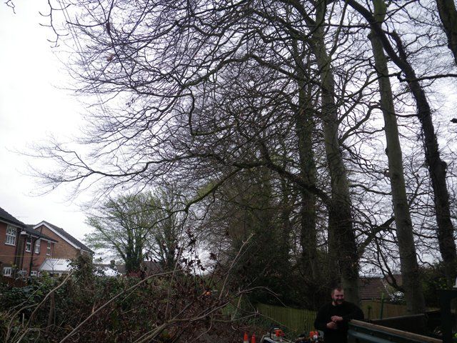Crown lifting and side reduction- Before