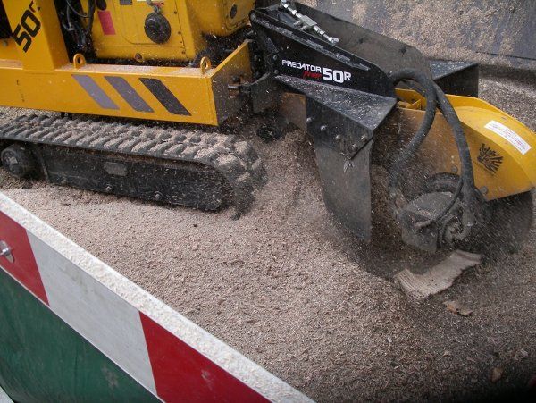 Stump ground out