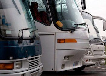 partial view of the buses