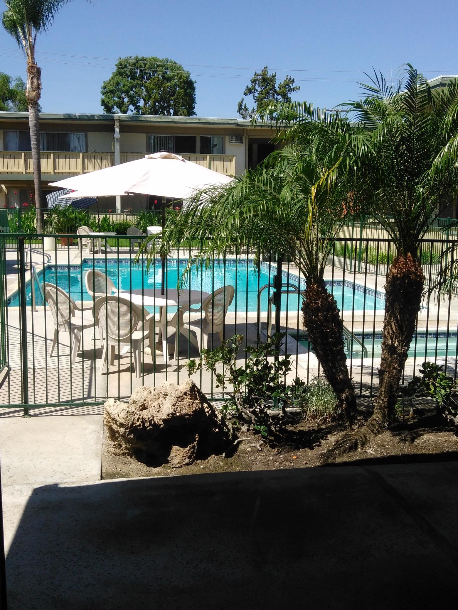 Pool | Santa Clara Apartments