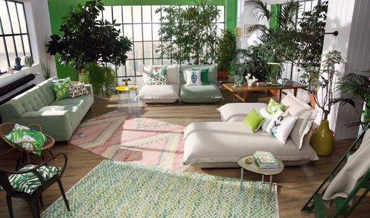 A living room filled with furniture and plants.