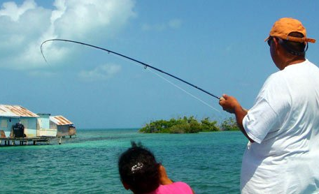 Fliegenfischen, Trolling, Spin Casting
