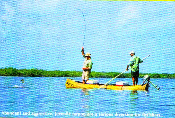 Pêche à la mouche à faire soi-même depuis le rivage, en kayak, en SUP ou en bateau