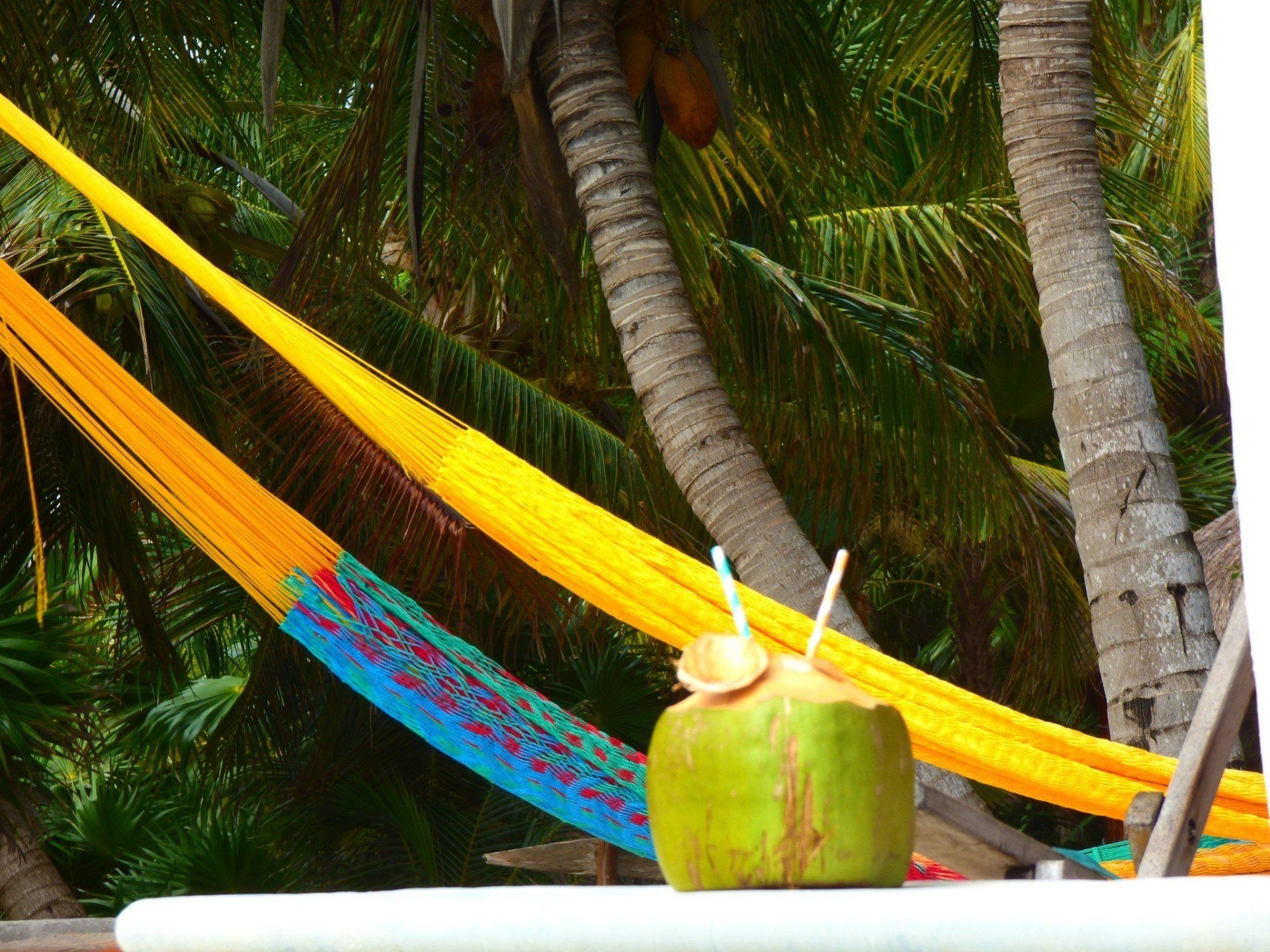 Coconut water