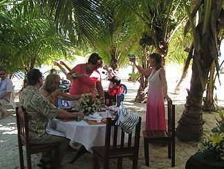 tables nestled under the palm trees