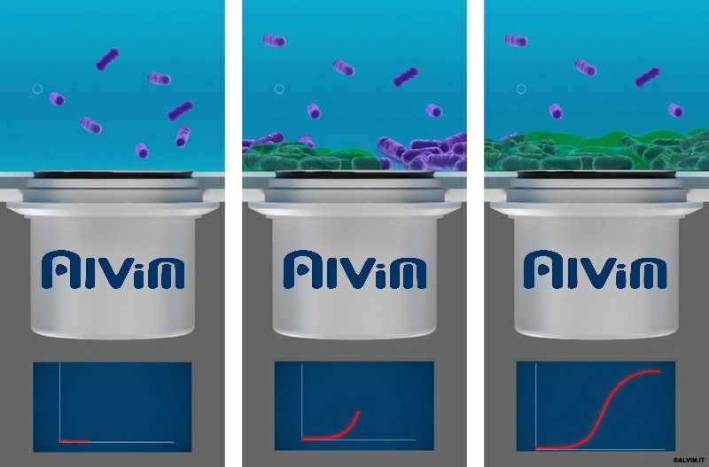 Bacteria Sensors