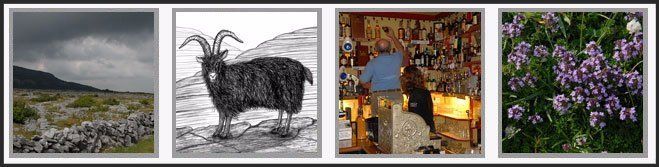 A collage of four pictures including a goat and flowers