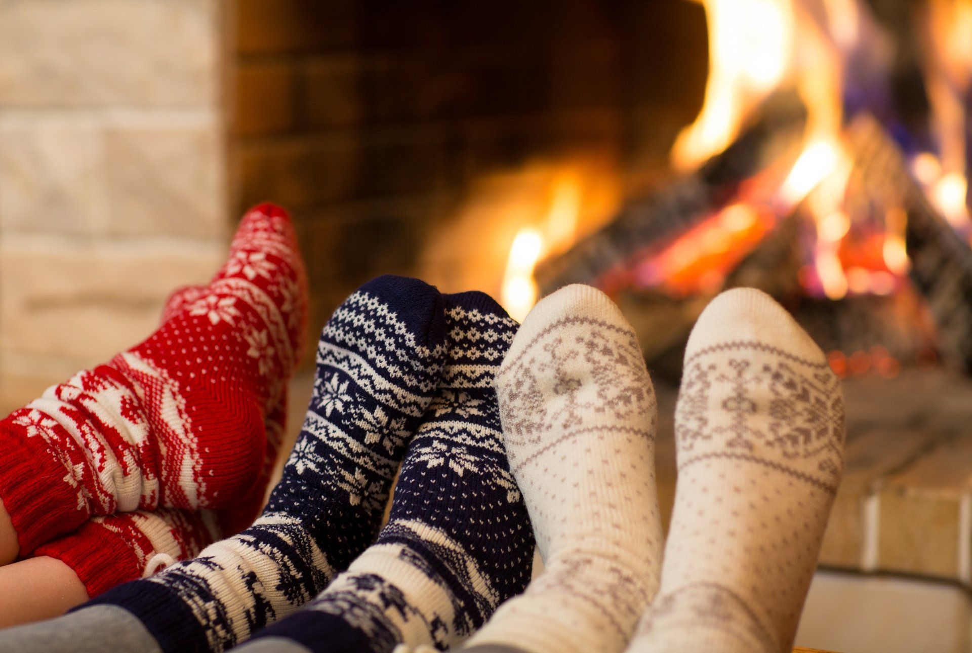 winter pests