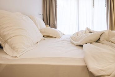 Bed Bugs on Mattress