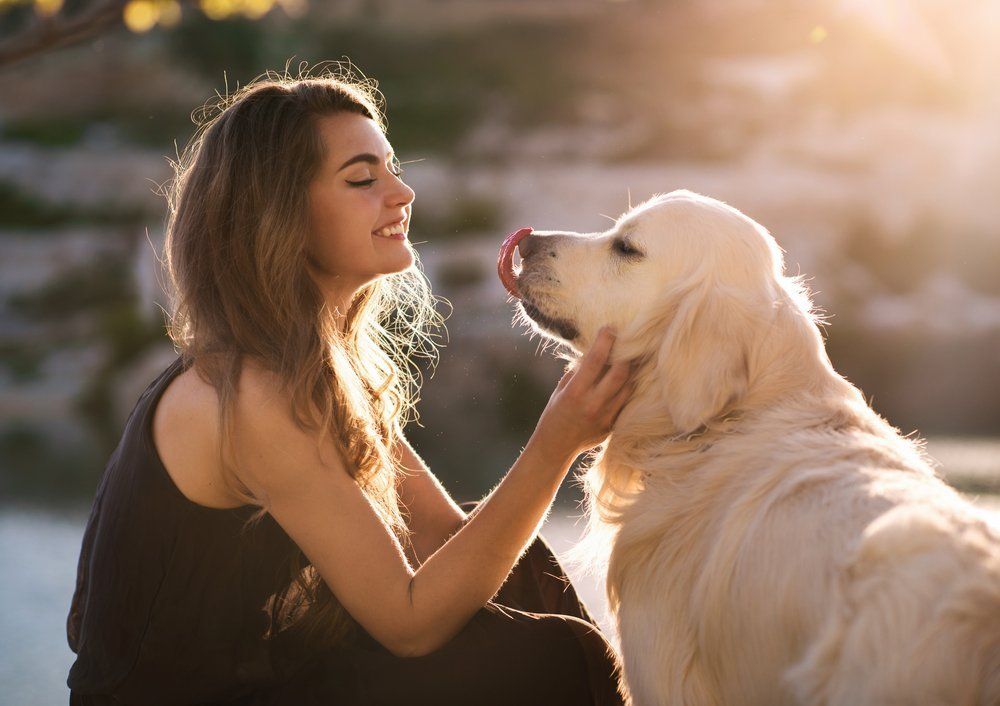 pets