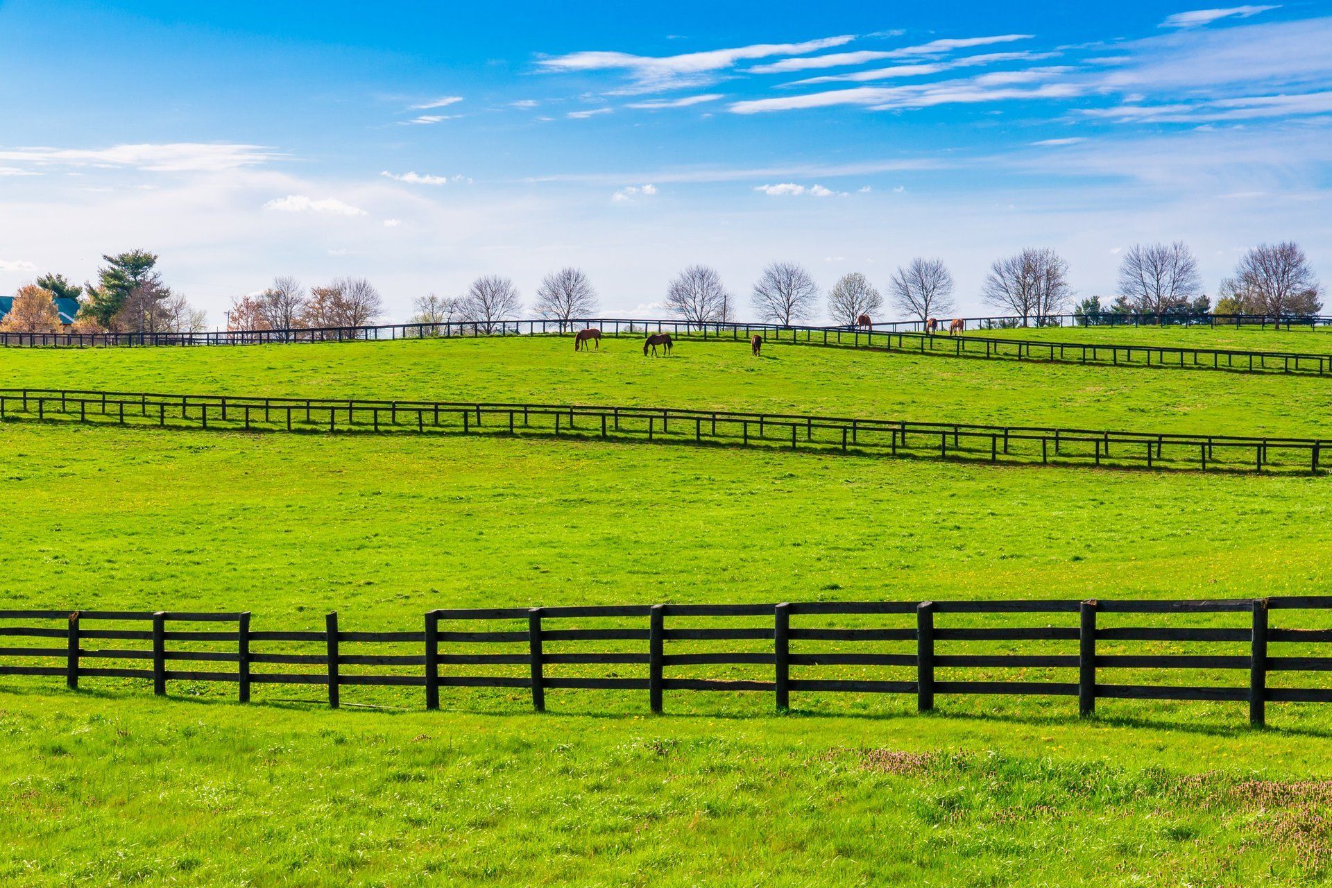 pests native to kentucky
