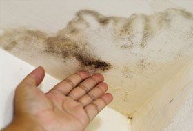 damp proofing