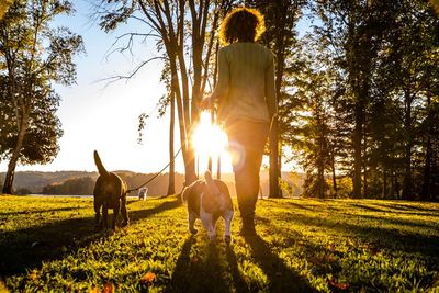 girl walking 2 dogs in a park