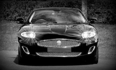 jaguar