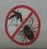 Ticks — Alfred, ME — Liberty Pest Control Ticks — Alfred, ME — Liberty Pest Control