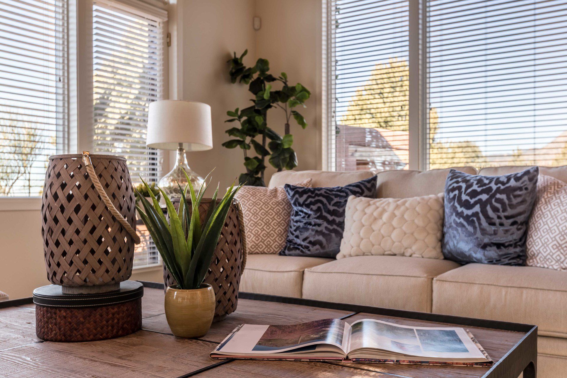 A living room with a couch , coffee table , lamp , book and potted plant.