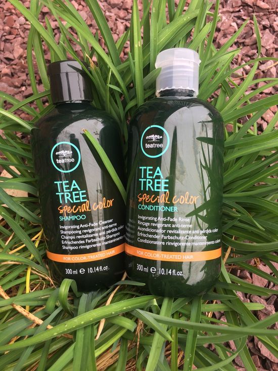 Two Bottle Of Tea Tree — Mechanicsburg, VA — Molto Bella Salon