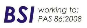 bsi logo