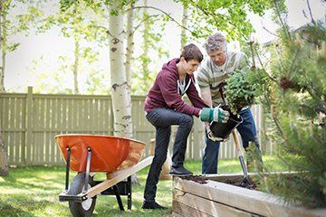gardeners at work